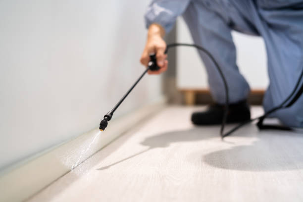 Licensed Pest Control service in Honey Grove, TX - Show Me Pest Control