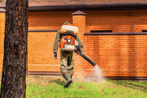 Top rated local Wasp Removal specialists in Honey Grove, TX